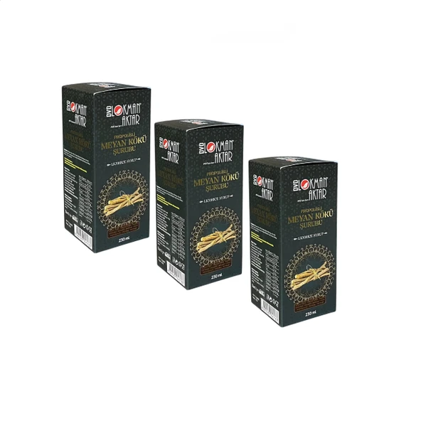 Propolisli Meyan Kökü Şurubu 230 ml, 3 Adet, DVD Lokman Aktar ürün görseli 1