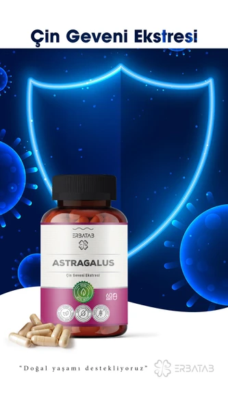 Erbatab Astragalus Çin Geveni Ekstresi 60 Kapsül - Resim 4