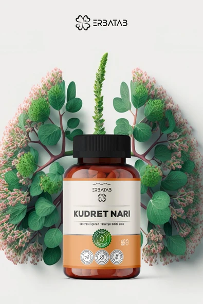 Erbatab Kudret Narı Ekstresi 60 Kapsül - Resim 4