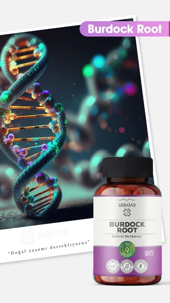 Erbatab Burdock Root Dulavrat Otu Ekstresi 60 Kaps ül - Resim 4
