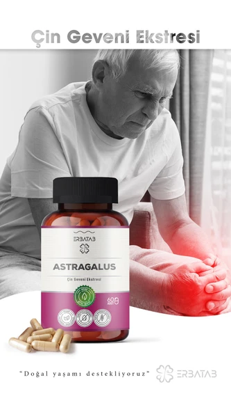 Erbatab Astragalus Çin Geveni Ekstresi 60 Kapsül - Resim 3