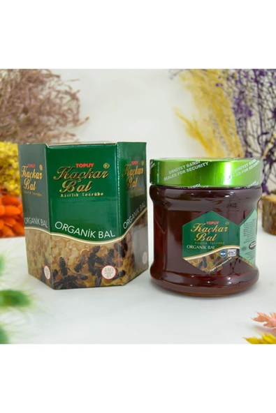 Kaçkar Bal Organik Orman Balı 450 Gr ürün görseli 1