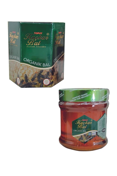 KAÇKAR Topuy Organik Yayla Çiçek Balı 480gr ürün görseli 1