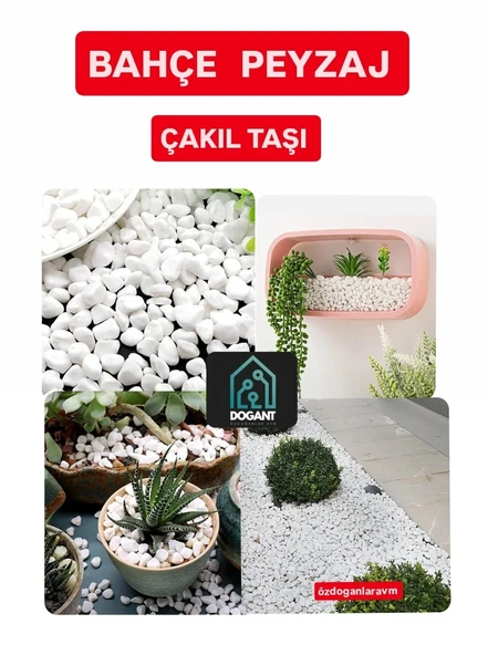 Karadeniz Saksı Teraryum  Taşı Dere Çakıl Taşı 2 Kg ürün görseli 1