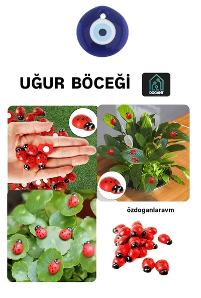 Kırmızı Uğur Böceği 50 Adet Dekor Uğur Böceği Desenli Süs Parti Malzemesi ürün görseli 1