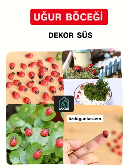 Uğur Böceği Ahşap Parti Dogum Günü Dekor Süslemesi 50 Adet ürün görseli 1