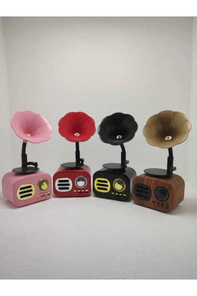 Proton Nostaljik Mini Bluetooth Radyo Gramafon Speaker - Resim 6