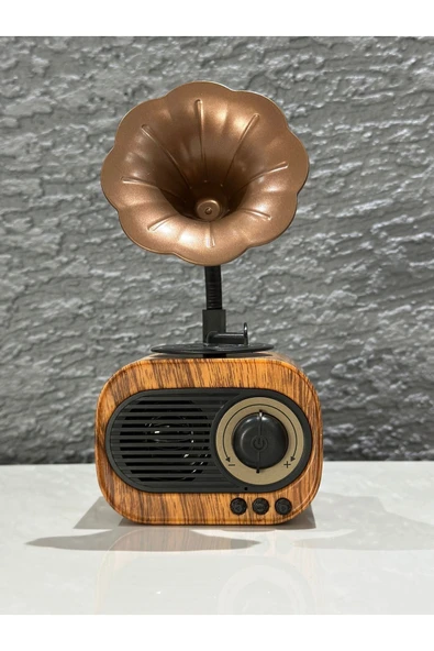 BİGGSM Nostalji Bluetooth Hoparlör Dahili Radyo Hafıza Kart Aux Gramafon Ekstra Bass Yüksek Ses ürün görseli 1