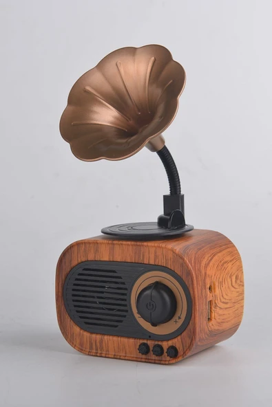 gnctech Bluetooth Hoparlör Vk-b5 Gramafon Nostalji Radyo ürün görseli 1