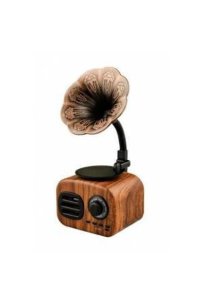 actıvator Ft-05 Retro Mini Ahşap Gramafon Bluetooth Radio Hoparlör ürün görseli 1