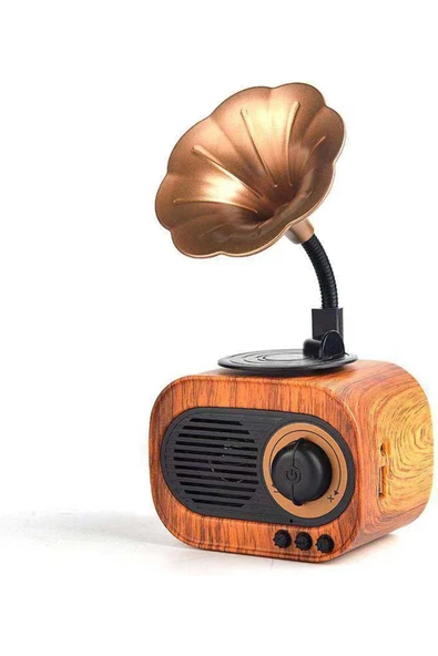 Avagir Ahşap Tasarımlı Bluetooth Hoparlör Şık B5 Nostaljik Mini Gramafon Radyo Usb Radyo Yüksek Ses Kalite ürün görseli 1