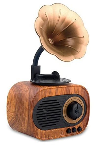 Dynego B5 Nostaljik Mini Gramafon Radyo Usb Aux Bluetooth Radyo Yüksek Ses Kalitesi ürün görseli 1