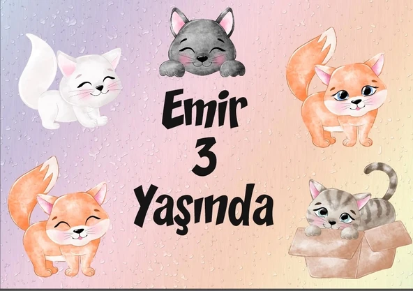 Kedi Teamlı Doğum Günü Afişi 70X100 cm ürün görseli 1