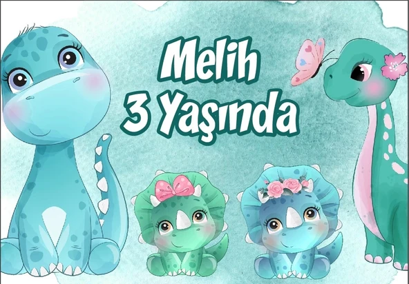 Dinozorlar Temalı Doğum Günü Afişi 50X70 cm ürün görseli 1