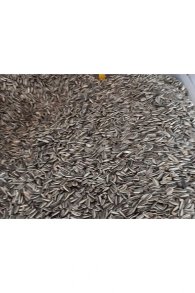 MOYASHOP 1 Kg Alaca Papağan Çekirdeği - Alacalı - Çekirdek - Kuş Yemi - Yem ürün görseli 1