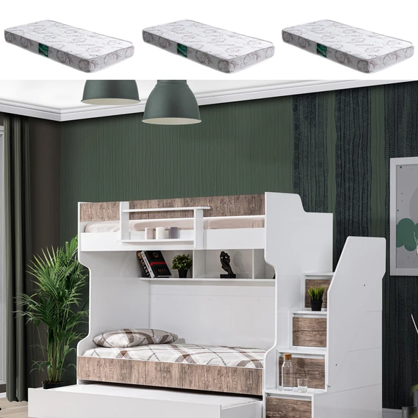 Ranza, Cesur Yavrulu Ranza - Ceviz 3 Adet Comfort Yatak ürün görseli 1