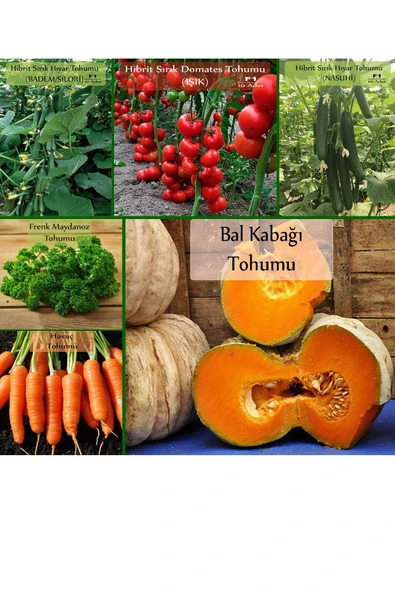 6 Paket Tohum No4 Hibrit F1 Salatalık Tohumları Domates - Frenk Maydanozu Tohumu Havuç Tohumu ... ürün görseli 1