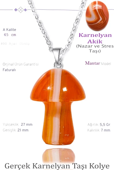 Sertifikalı Mantar Model Karnelyan Akik Taşı Kolye - Gümüş Aparatlı ürün görseli 1