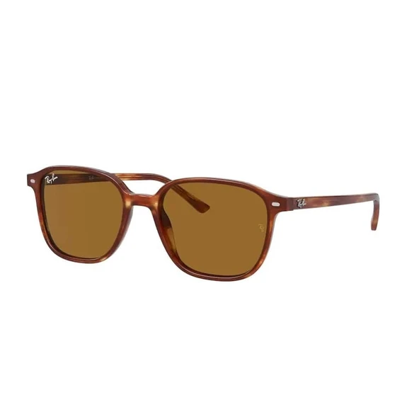 Ray-Ban RB 2193 954/33 51 Unisex Güneş Gözlüğü ürün görseli 1