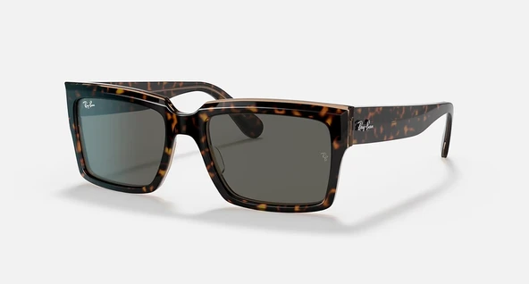 Ray-Ban RB 2191 1292 / B1 Unisex Güneş Gözlüğü ürün görseli 1