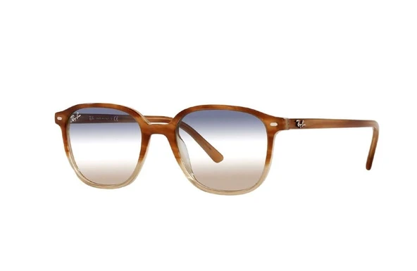Ray-Ban RB 2197 1328 / GD Unisex Güneş Gözlüğü ürün görseli 1
