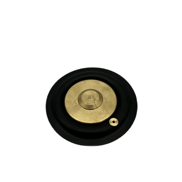 Solenoid Valf Gm Nbr Diyaframı 3/4 - Resim 5
