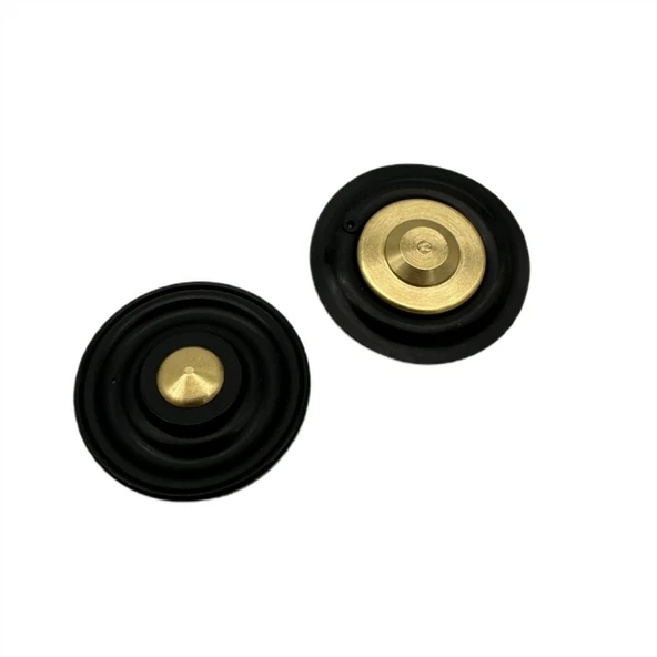 Solenoid Valf Gm Nbr Diyaframı 1/2 - Resim 3