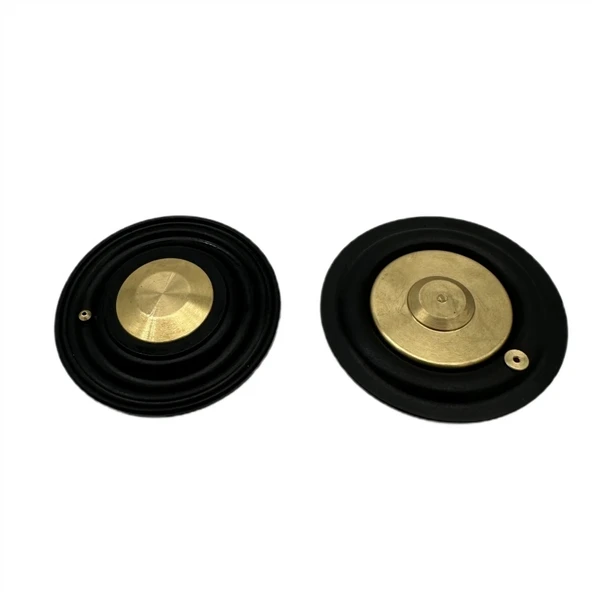Solenoid Valf Gm Nbr Diyaframı 1" - Resim 6