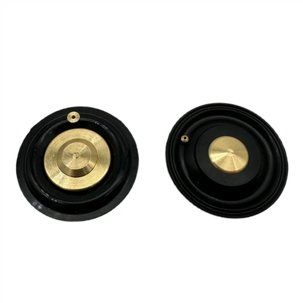 Solenoid Valf Gm Nbr Diyaframı 1" - Resim 4