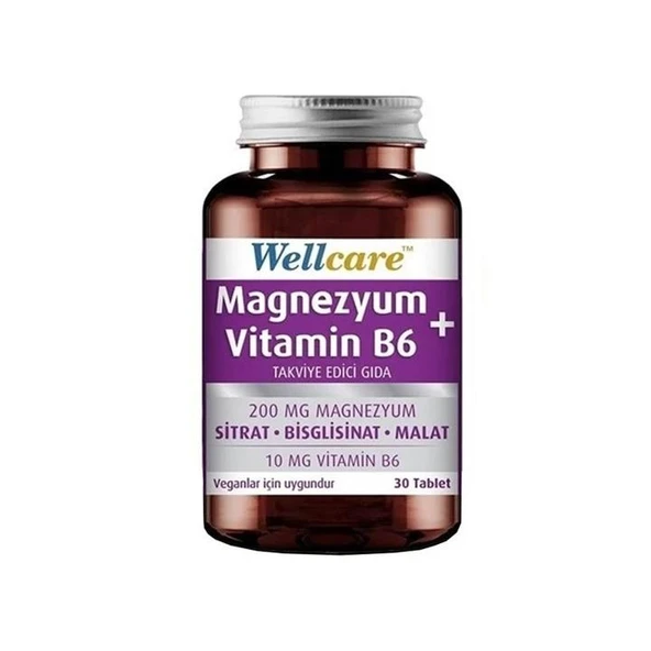 Wellcare Magnezyum + Vitamin B6 30 Tablet ürün görseli 1