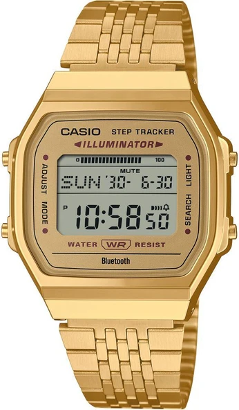 Casio ABL-100WEG-9ADF Kadın Kol Saati ürün görseli 1