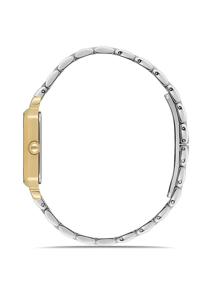 MOMENTUS CS223T-02SG - Resim 2