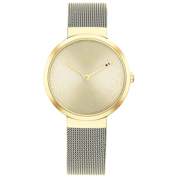 TOMMY HILFIGER TH1782487 ürün görseli 1