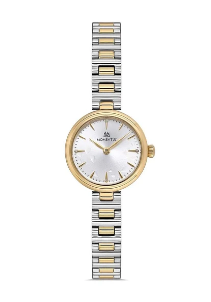 MOMENTUS CW313T-09SG - Resim 5