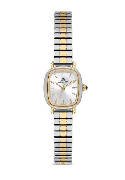MOMENTUS CW318T-02SG - Resim 4