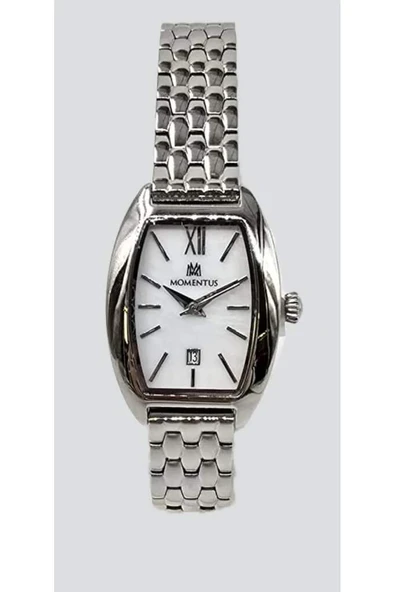 MOMENTUS CW310S-09SS ürün görseli 1