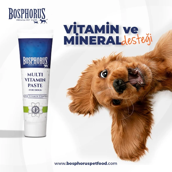 Köpekler için Multivitamin Malt Macun 100g - Resim 2