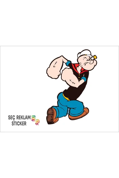 SEÇ Temel Reis Sticker Çok Amaçlı sticker ürün görseli 1