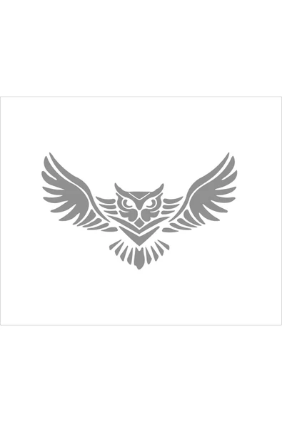 SEÇ Baykuş Sticker Oto Sticker ürün görseli 1