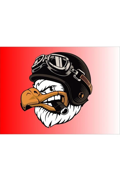 SEÇ Pipolu Kartal Renkli Sticker Çok Amaçlı Sticker ürün görseli 1