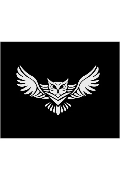 SEÇ Baykuş Sticker Oto Sticker ürün görseli 1
