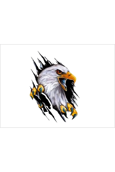 SEÇ Pençe Kartal Renkli Sticker Çok Amaçlı Sticker Etiket ürün görseli 1