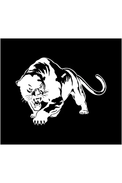 SEÇ Pars Sticker Oto Sticker ürün görseli 1