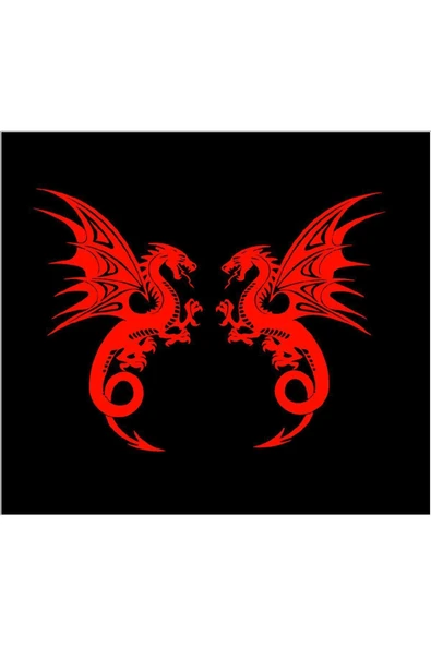 SEÇ Ejderha Sticker Etiket ürün görseli 1