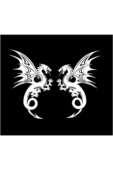 SEÇ Ejderha Sticker Etiket ürün görseli 1