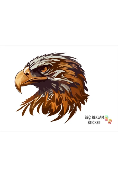 SEÇ Kartal  Sticker Çok Amaçlı Sticker Araç Sticker ürün görseli 1