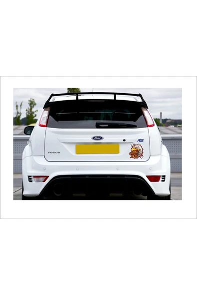 SEÇ KARTAL STİCKER ÇOK AMAÇLI STİCKER - Resim 3