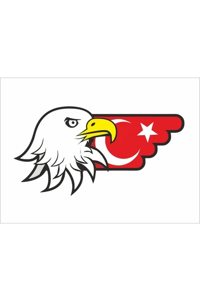 SEÇ Kartal ve Türk Bayrağı Renkli Sticker Çok Amaçlı Sticker Etiket ürün görseli 1