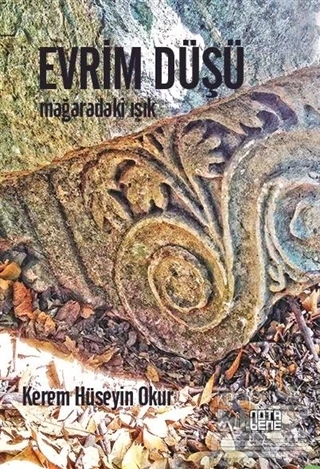 Evrim Düşü ürün görseli 1