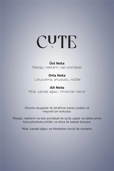 Carpex Cute E2 Power Koku Kartuşu 125 Ml - Resim 3